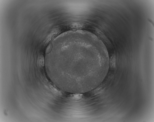 X0000100500474200806271303