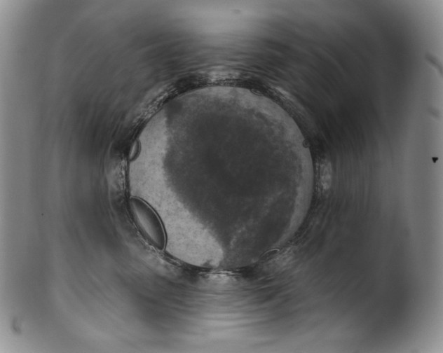 X0000100500475200806271303