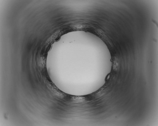 X0000100500476200806271303