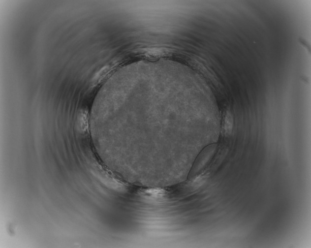 X0000100500478200806271303