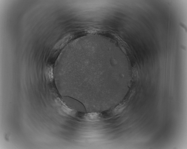 X0000100500479200806271303