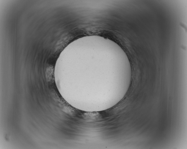 X0000100500480200806271303