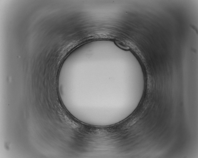 X0000100500481200806271302