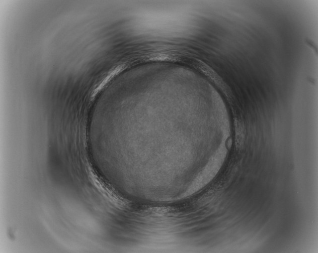 X0000100500482200806271302