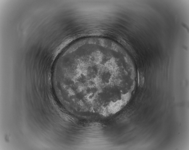 X0000100500483200806271302