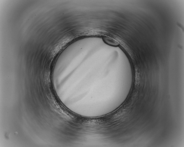 X0000100500485200806271302