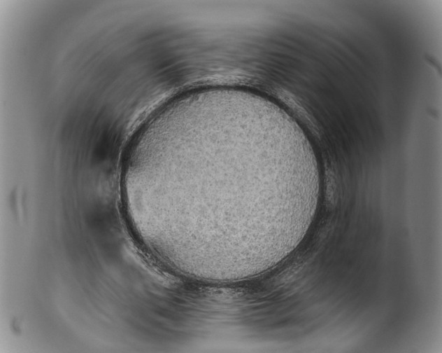 X0000100500486200806271302