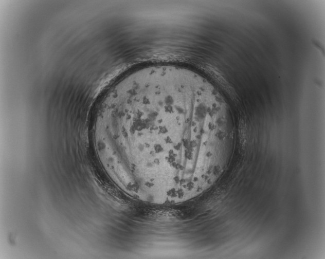 X0000100500488200806271302