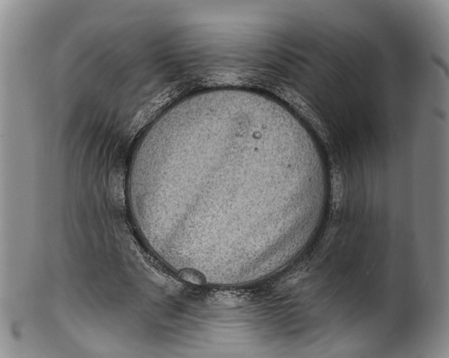 X0000100500489200806271302