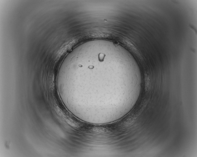 X0000100500490200806271302