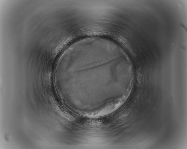 X0000100500491200806271302