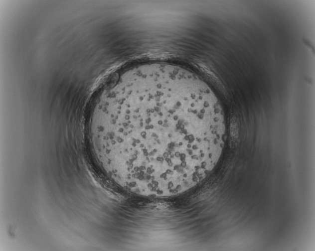 X0000100500492200806271302