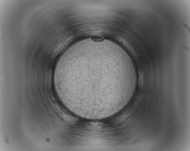 X0000100500493200806271302