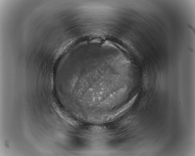 X0000100500494200806271302