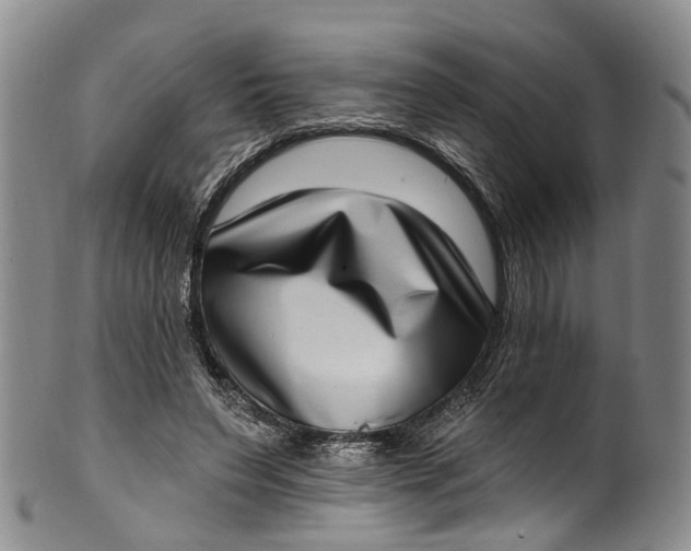 X0000100500495200806271302