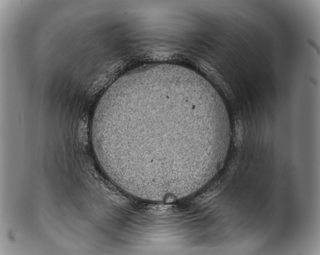 X0000100500497200806271302