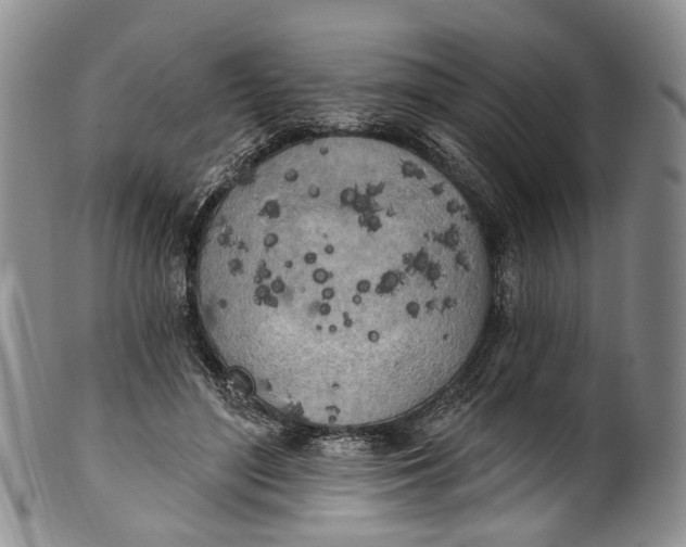 X0000100500500200806271302