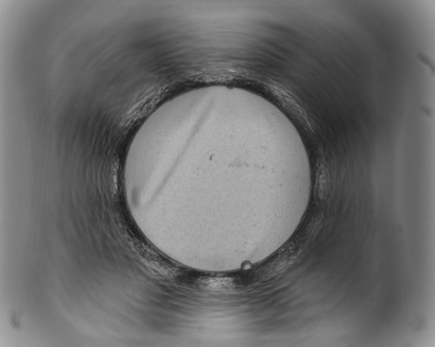 X0000100500501200806271302