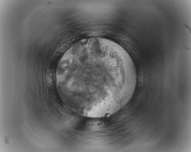 X0000100500503200806271302