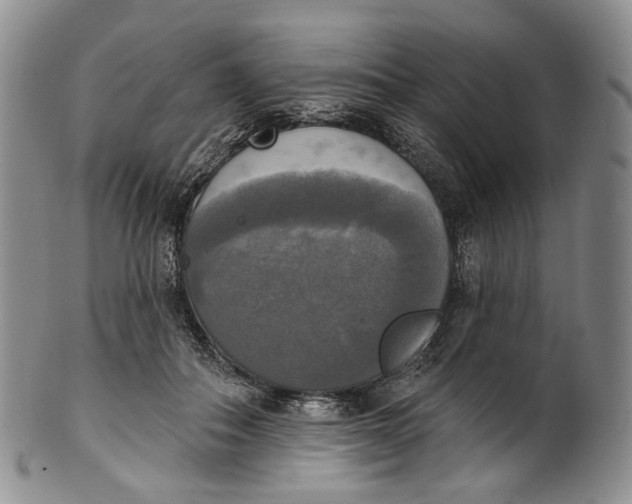 X0000100500506200806271302