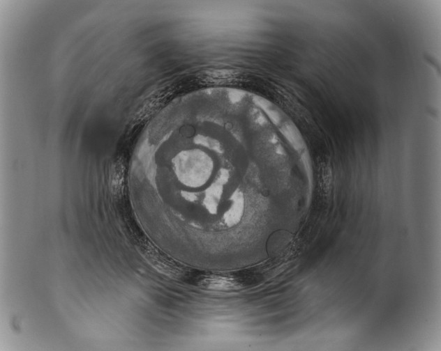 X0000100500507200806271302