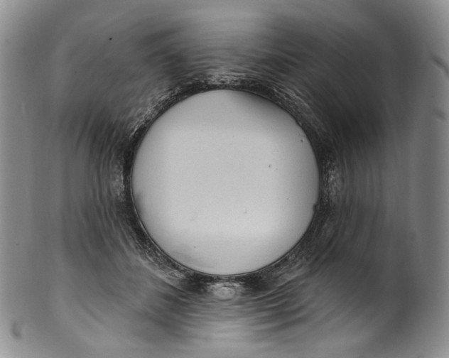 X0000100500508200806271302