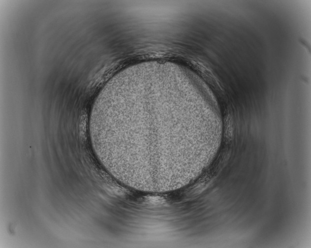 X0000100500509200806271302