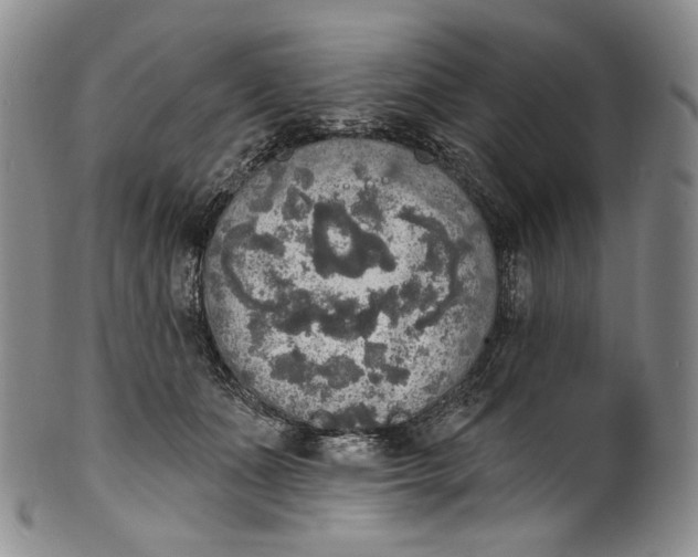 X0000100500511200806271302