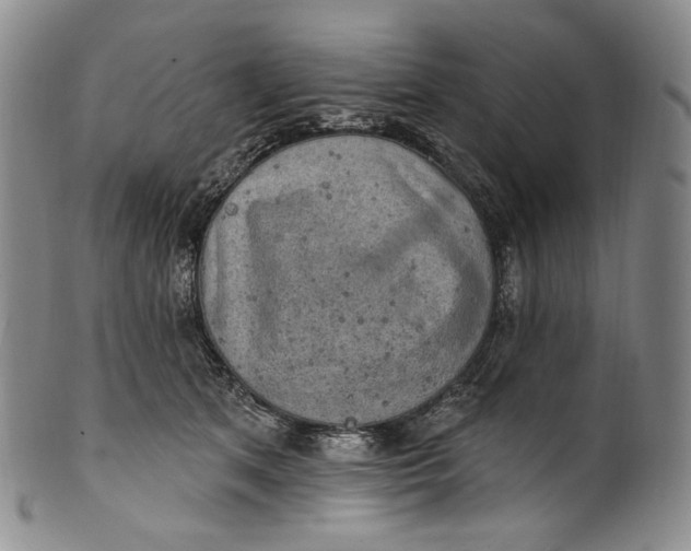 X0000100500513200806271302