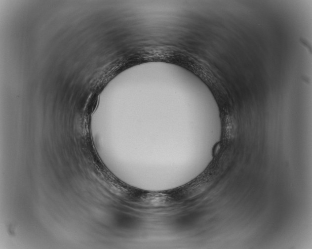 X0000100500514200806271302