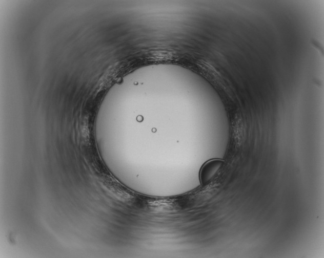 X0000100500516200806271302