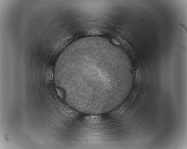 X0000100500517200806271302