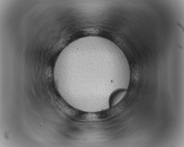 X0000100500518200806271302