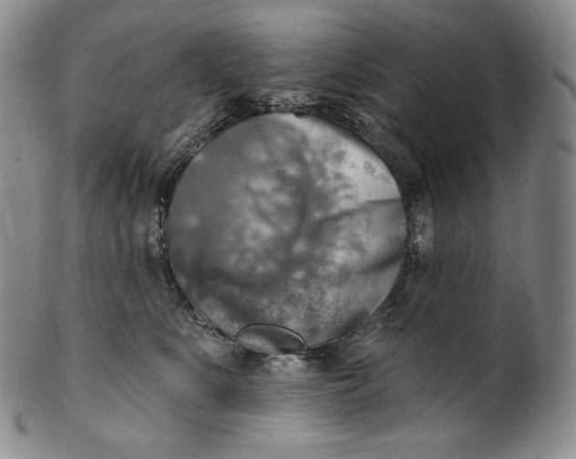 X0000100500519200806271302