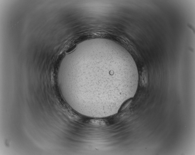 X0000100500520200806271302