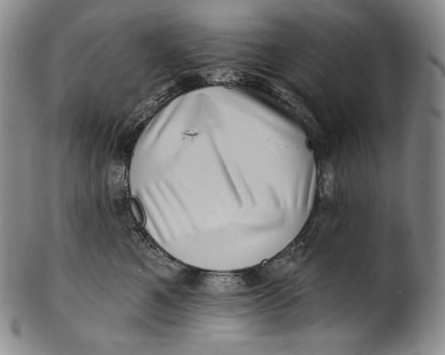 X0000100500521200806271302