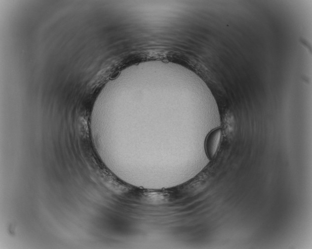 X0000100500522200806271302