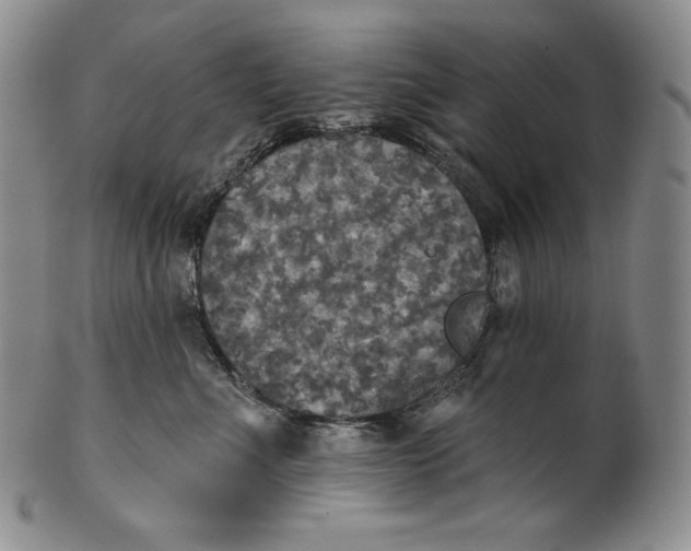 X0000100500523200806271302