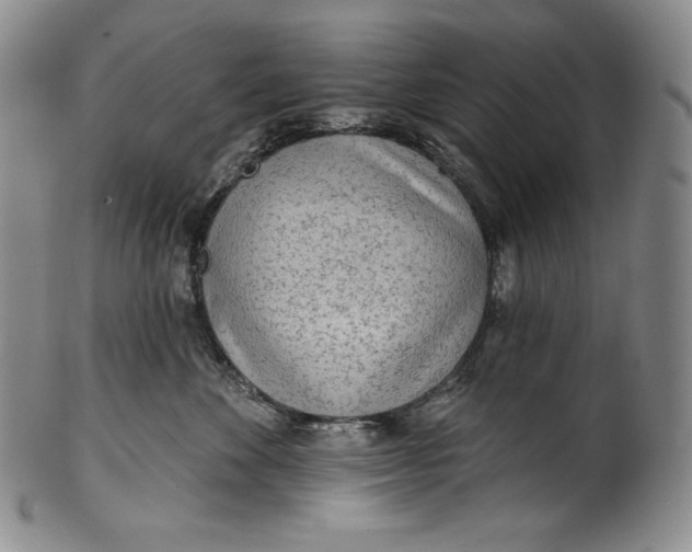 X0000100500524200806271302