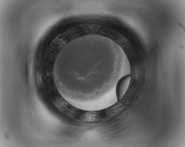 X0000100500526200806271302