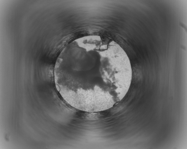 X0000100500527200806271302