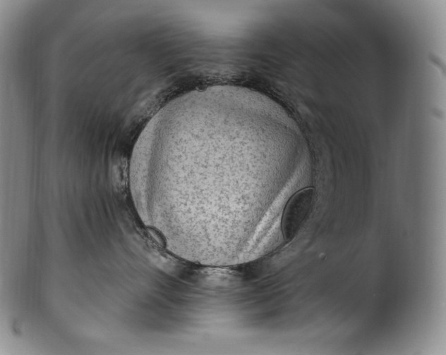 X0000100500528200806271302