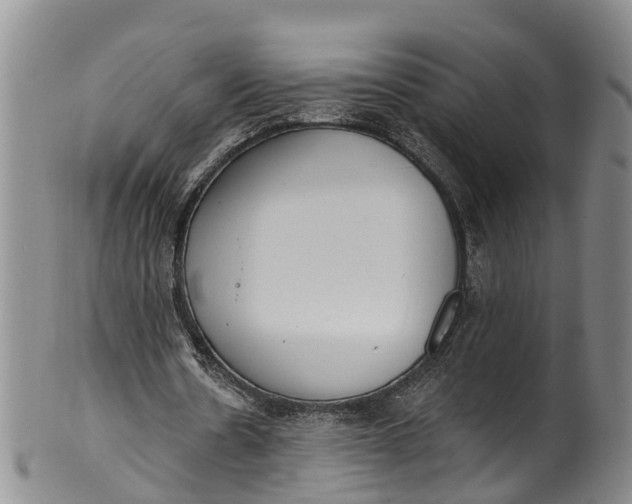 X0000100500530200806271301