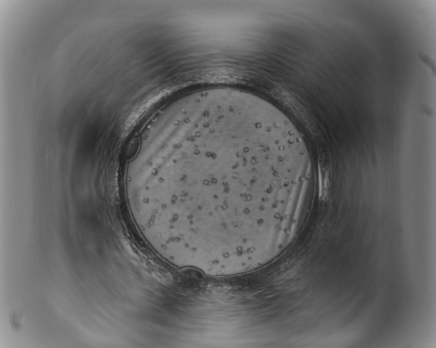 X0000100500531200806271301