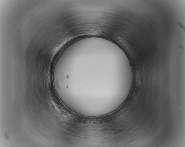 X0000100500532200806271301