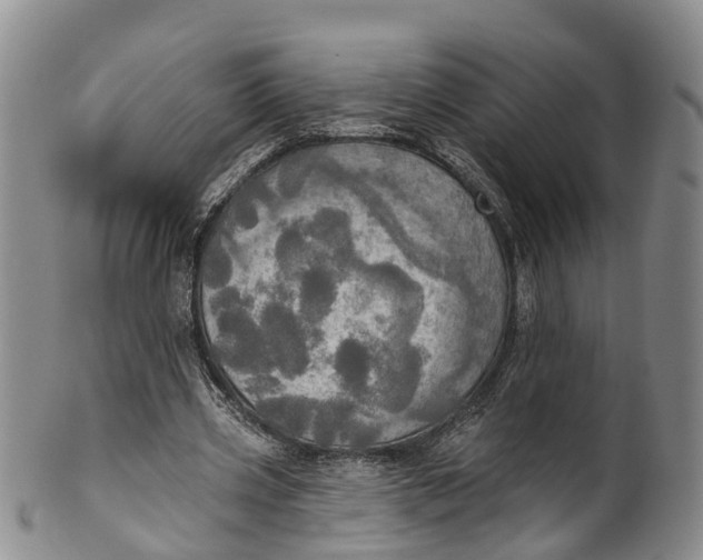 X0000100500533200806271301