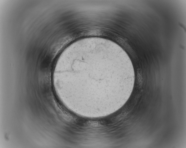 X0000100500534200806271301