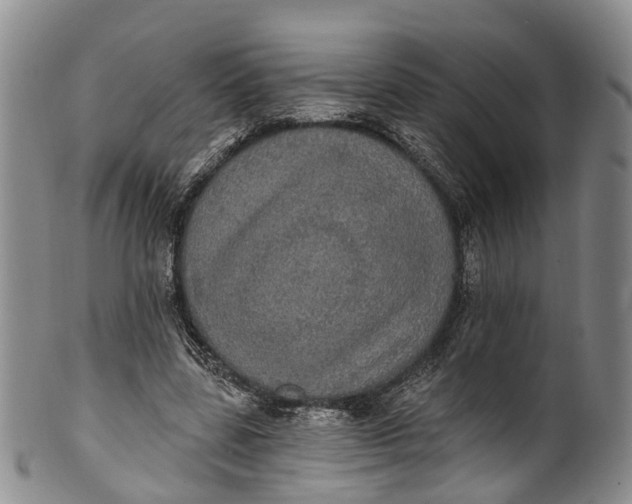 X0000100500539200806271301