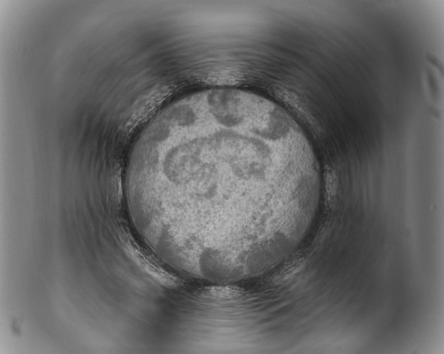 X0000100500541200806271301