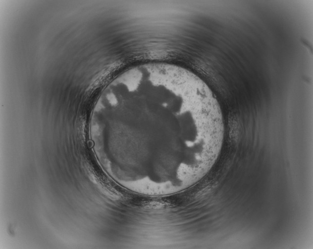 X0000100500542200806271301